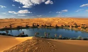 Oaza Siwa 